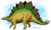 Stegosaurus-neil-riehle